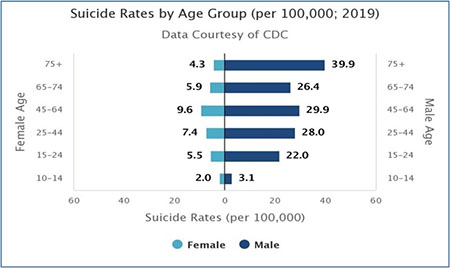 Suicide Rates by Age Group (per 100,000; 2019)